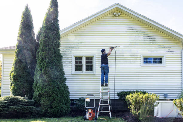 Professional Pressure Washing in Fowlerville, MI
